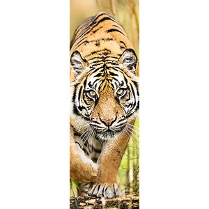 Trefl (75002) - "Der heranschleichende Tiger" - 300 Teile Puzzle