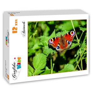 Grafika Kids (01230) - "Schmetterling" - 12 Teile Puzzle