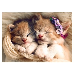 Trefl (37271) - "Schlafende Katzen" - 500 Teile Puzzle