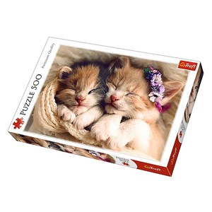 Trefl (37271) - "Schlafende Katzen" - 500 Teile Puzzle