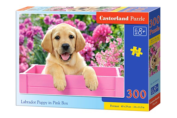 Castorland (B-030071) - "Labradorwelpe in der rosa Kiste" - 300 Teile Puzzle