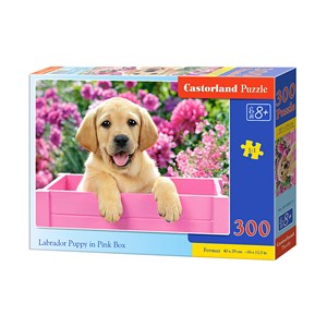 Castorland (B-030071) - "Labradorwelpe in der rosa Kiste" - 300 Teile Puzzle