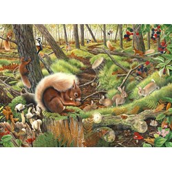 The House of Puzzles (3688) - "Save Our Squirrels" - 1000 Teile Puzzle