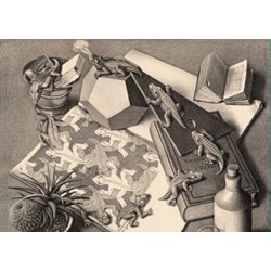 PuzzelMan (821) - M. C. Escher: "Reptiles" - 1000 Teile Puzzle