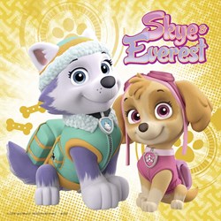 Ravensburger (08008) - "Paw Patrol - Skye & Everest" - 49 Teile Puzzle