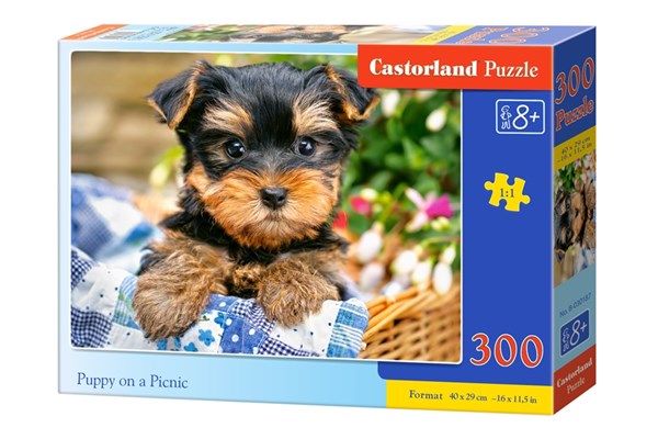 Castorland (B-030187) - "Süßer Welpe im Picnic-Korb" - 300 Teile Puzzle