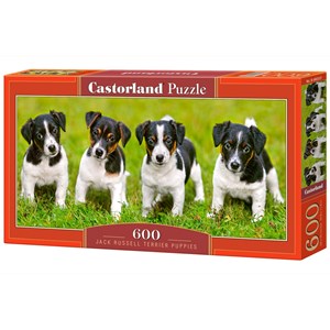 Castorland (B-060337) - Jack Russell: "Süße Jack Russell Terrier Welpen" - 600 Teile Puzzle