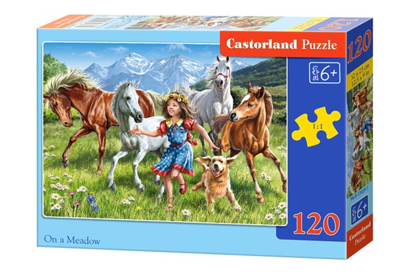 Castorland (B-13029) - "Auf der Wiese" - 120 Teile Puzzle