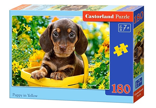 Castorland (B-018161) - "Süßer Dackel im gelben Körbchen" - 180 Teile Puzzle