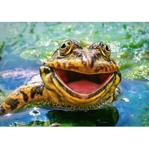 Castorland (B-52813) - "Lachender Frosch" - 500 Teile Puzzle