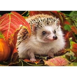 Castorland (B-018338) - "Igel" - 180 Teile Puzzle