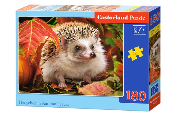 Castorland (B-018338) - "Igel" - 180 Teile Puzzle