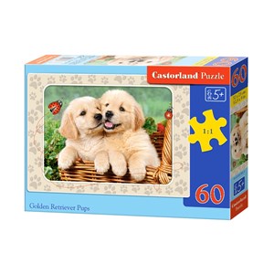 Castorland (B-06786) - "Golden Retriever Pups" - 60 Teile Puzzle