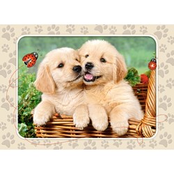 Castorland (B-06786) - "Golden Retriever Pups" - 60 Teile Puzzle
