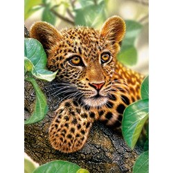 Castorland (B-018291) - "Kleiner Jaguar umklammert den Ast" - 180 Teile Puzzle