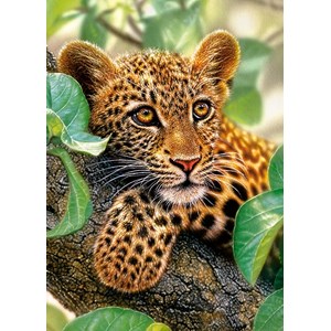Castorland (B-018291) - "Kleiner Jaguar umklammert den Ast" - 180 Teile Puzzle