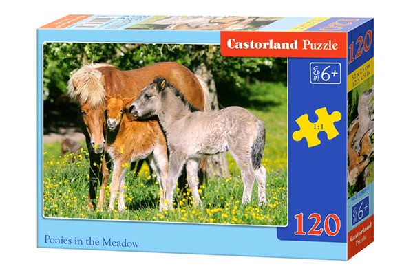 Castorland (B-12909) - "Ponys auf der Weide" - 120 Teile Puzzle