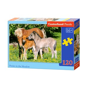 Castorland (B-12909) - "Ponys auf der Weide" - 120 Teile Puzzle