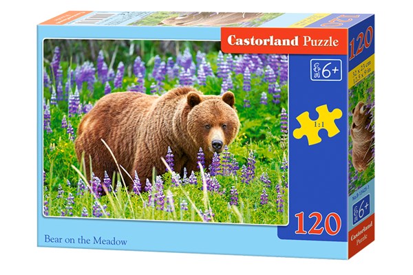 Castorland (13425) - "Bär" - 120 Teile Puzzle