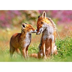 Castorland (B-13241) - "Kleiner Fuchs mit seiner Mutter" - 120 Teile Puzzle