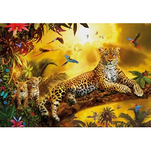 Educa (17736) - "Leoparden mit Jungen" - 500 Teile Puzzle