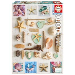 Educa (17658) - "Muschel-Collage" - 1000 Teile Puzzle