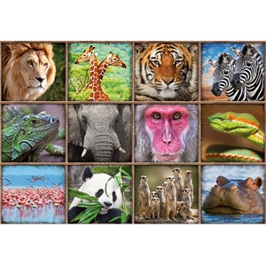 Educa (17656) - "Wildtier-Collage" - 1000 Teile Puzzle