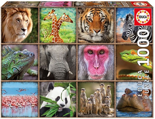 Educa (17656) - "Wildtier-Collage" - 1000 Teile Puzzle