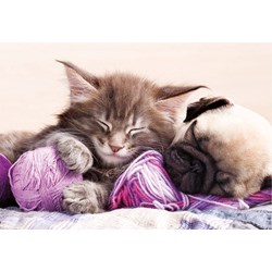 Educa (17644) - "Traumgefährten" - 500 Teile Puzzle