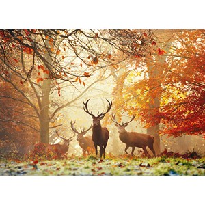 Heye (29805) - Alex Aberi: "Hirsche auf der Lichtung" - 1000 Teile Puzzle