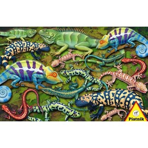 Piatnik (555343) - "Salamander" - 1000 Teile Puzzle