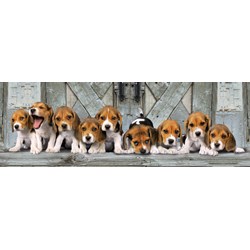 Clementoni (39076) - "Beagles" - 1000 Teile Puzzle