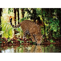 Clementoni (32537) - "Leopard" - 2000 Teile Puzzle