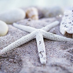 Ravensburger (19920) - "Maritime Impressions Multi" - 500 Teile Puzzle