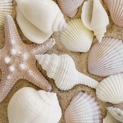 Ravensburger (19920) - "Maritime Impressions Multi" - 500 Teile Puzzle