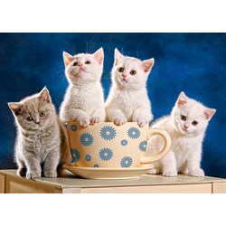 Castorland (B-52608) - "Suche nach Milch" - 500 Teile Puzzle