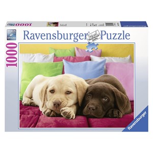Ravensburger (19115) - "Nice and Warm" - 1000 Teile Puzzle