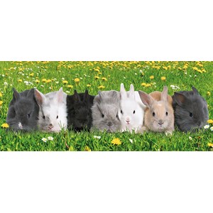 Ravensburger (12696) - "Rabbit Parade" - 200 Teile Puzzle
