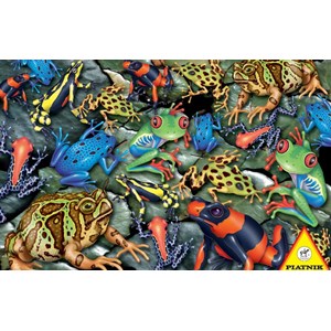 Piatnik (555244) - "Frösche" - 1000 Teile Puzzle
