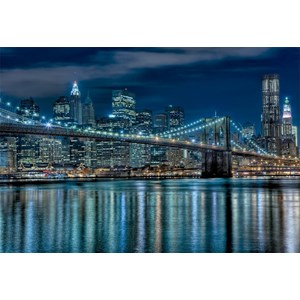 Educa (15978) - "Manhattan at Night" - 1000 Teile Puzzle
