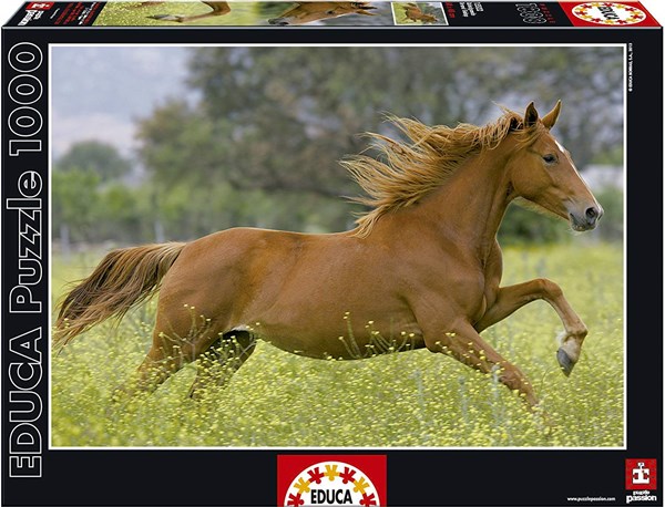 Educa (15522) - "At Full Gallop" - 1000 Teile Puzzle