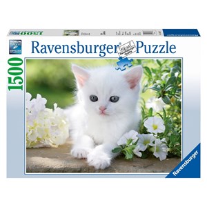 Ravensburger (16243) - "Weißes Kätzchen" - 1500 Teile Puzzle