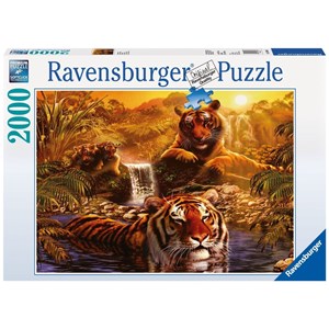 Ravensburger (16646) - "Tigers' Bathing" - 2000 Teile Puzzle