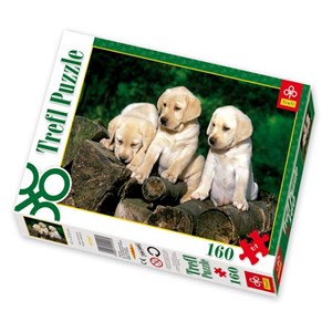 Trefl (15157) - "Kleine Labradore" - 160 Teile Puzzle