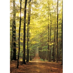 Eurographics (6000-3846) - "Im Wald" - 1000 Teile Puzzle