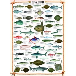 Eurographics (6000-0313) - "Die Fische" - 1000 Teile Puzzle