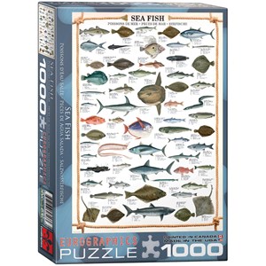 Eurographics (6000-0313) - "Die Fische" - 1000 Teile Puzzle