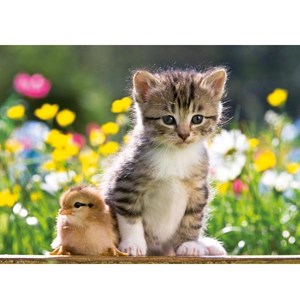Ravensburger (13064) - "Little Friends" - 300 Teile Puzzle