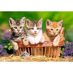 Castorland (B-021116) - "Kittens into the garden" - 165 300 Teile Puzzle