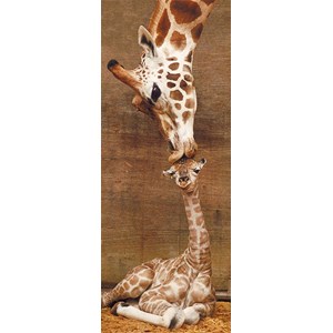 Ravensburger (15115) - "First Kiss" - 1000 Teile Puzzle